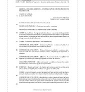SQIMNGA NIGERIA LIMITED v. SYSTEMS APPLICATIONS PRODUCTS NIGERIA LTD