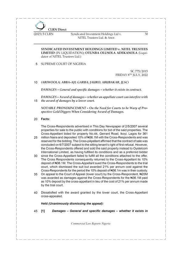 SYNDICATED INVESTMENT HOLDINGS LTD v. NITEL TRUSTEES LTD. & ANOR.