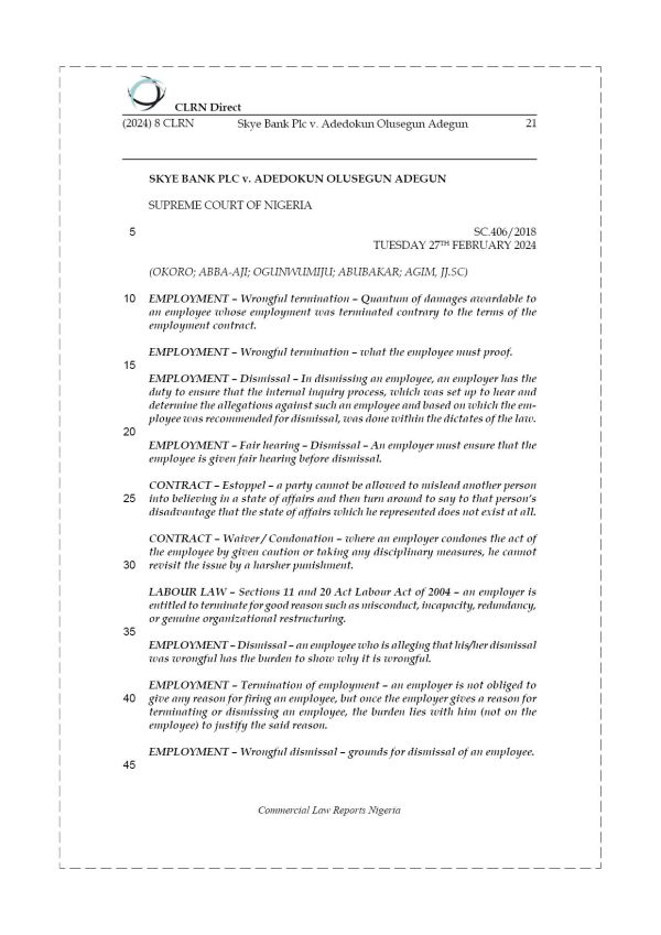 SKYE BANK PLC v. ADEDOKUN OLUSEGUN ADEGUN